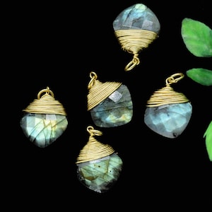 May include: Five faceted labradorite gemstone pendants with gold wire wrapping. The gemstones display iridescent blue, green, and yellow hues. The pendants are set against a black background with a sprig of green leaves.