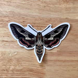Pink Moth Sticker