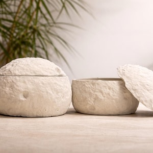 Può includere: Due scatole rotonde con coperchio, di colore bianco sporco e strutturate. Una scatola è chiusa, l'altra è aperta con il coperchio leggermente socchiuso. Le scatole hanno un aspetto ruvido e organico. Lo sfondo include vegetazione.