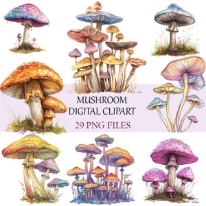 Mystische Pilze Clipart Set - Hochwertige, transparente Hintergrund Pilz Illustrationen für von der Natur inspirierte Projekte, PNG Dateien