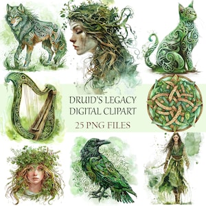 Enchanted Druid Forest Clipart Set - Hoogwaardige, transparante achtergrond Keltische illustraties voor mystieke projecten
