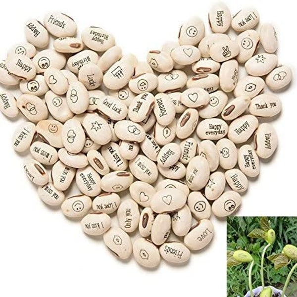 Magic Bean Seeds Secret Message Gift Idea Magic Recurrence Curiosity Event Gift Idea Plant Lover Gift