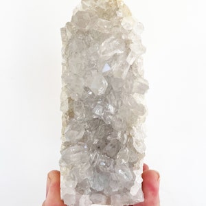 RARE Chrysanthemum Quartz