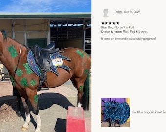 May include: A brown horse wearing a dark blue saddle pad with a dragon scale pattern and pointed wing-like edges, a matching ear bonnet, and green painted scale designs on its coat. The horse is equipped with a black saddle and bridle.