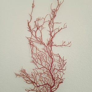 Coral Decor - Sea Fan - Reef Coral - Purplish Pink