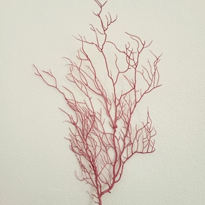 Coral Decor - Sea Fan - Reef Coral - Purplish Pink