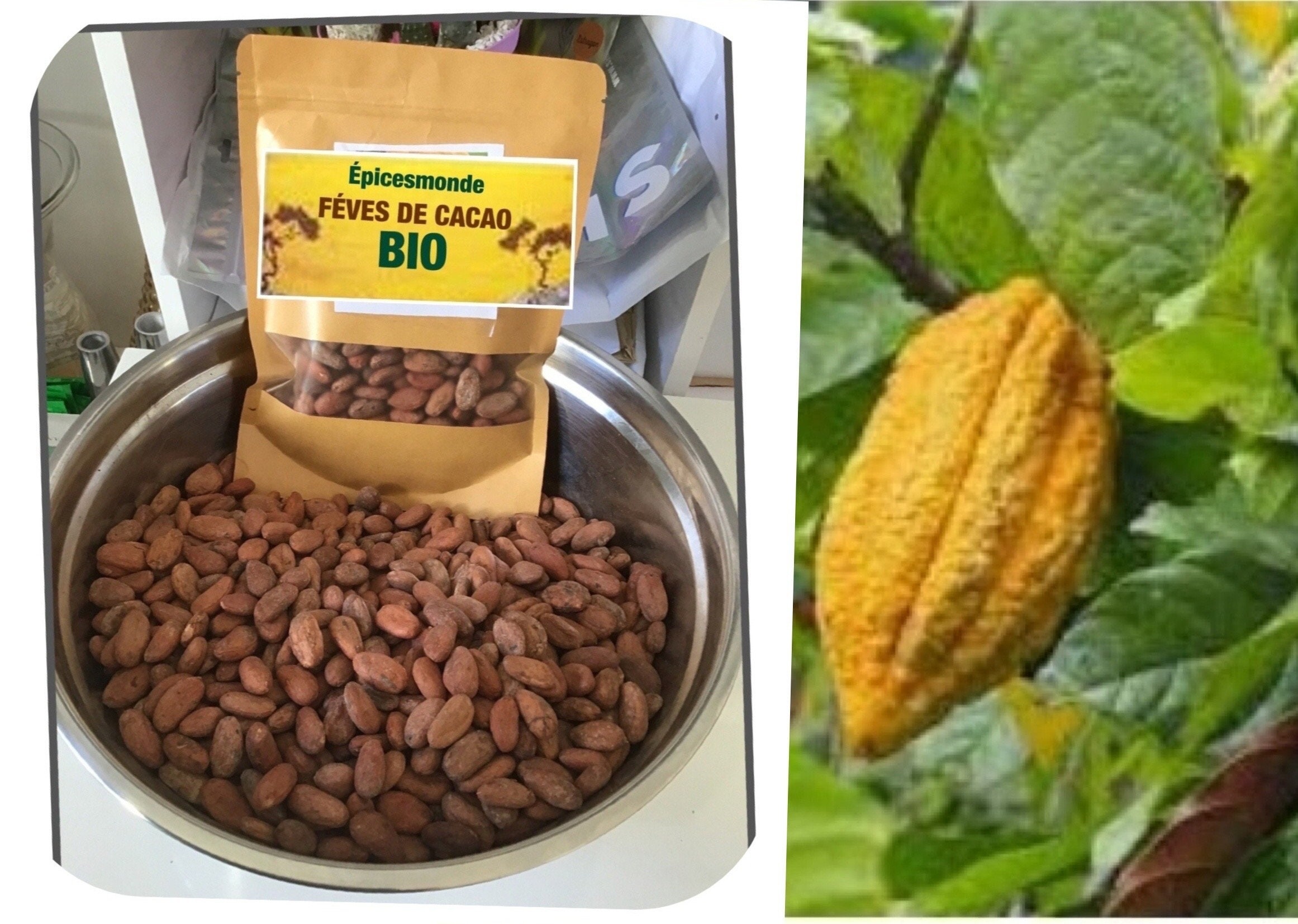 Fève de Cacao Cru | Non Torréfié Entière Pour Aliment 100% Bio