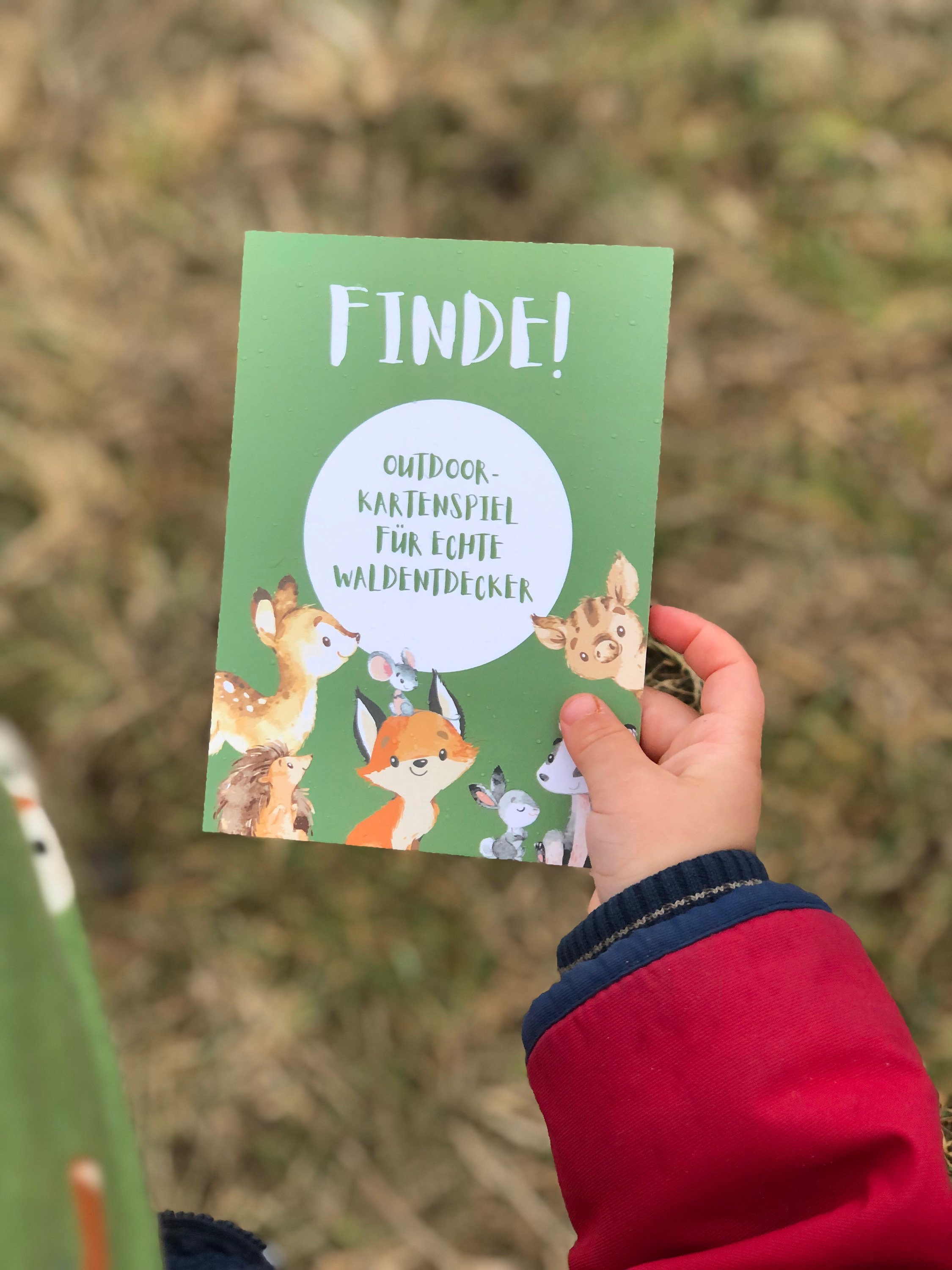 50 Entdeckerkarten Für Kinder Ab 4 - Outdoor Suchspiel Für Natur & Garten