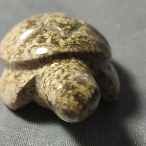 Handmade Turtle Coral Fossils Turtle Beige Decoration Gift
