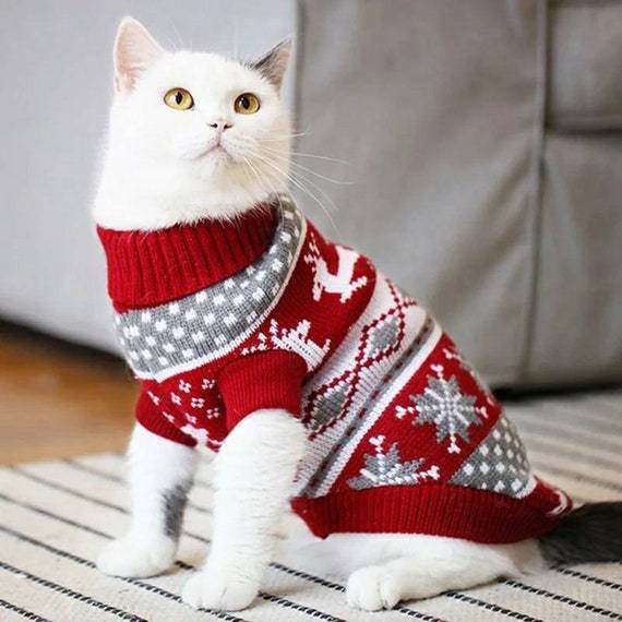 Kat kerst outfit Etsy Nederland