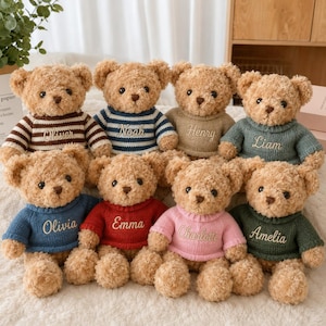 Personalized Embroidered Teddy Bear Plush with Name, Custom Baby Name Bear, Cuddly Friend for Life, Baby Shower Gift, Newborn Keepsake