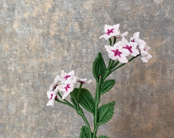 Crochet Hoya Flower Pattern: Wax Flower, PDF + Video Guide