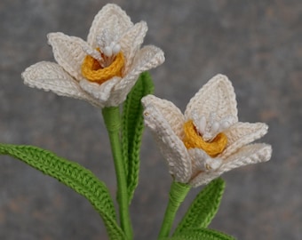 Daffodil Flower Pattern, Crochet Flowers, Floral Designs, PDF Tutorial with Video Guide