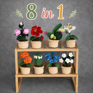 May include: A two-tiered wooden shelf displaying eight crocheted potted plants. The collection includes pink roses, a red hibiscus, a green cactus, a white lily, orange blossoms, a small cactus with white flowers, blue bellflowers, and white daisies.