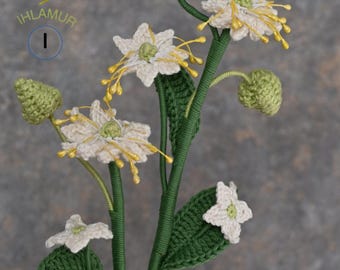Motif de fleurs de tilleul au crochet : conception de fleurs tropicales (didacticiel PDF)