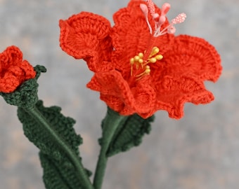 Crochet Hibiscus Flower Pattern: PDF Tutorial with Video (Digital Download)