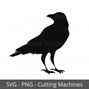 Kraai SVG, kraai silhouet gesneden bestanden, Instant Download