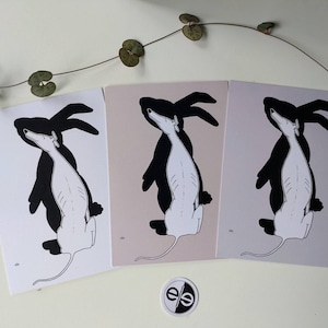 Set da cartolina Greyhound, Galgo, Whippet