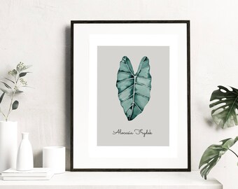 May include: A framed print of a watercolor illustration of an Alocasia Frydek leaf on a gray background. The text "Alocasia Frydek" is printed below the leaf.