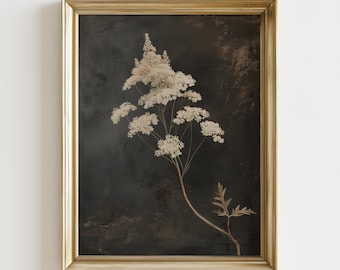 May include: A framed botanical print featuring a detailed illustration of a flowering plant with delicate white blooms against a dark, textured background. The artwork is encased in a gold-colored frame, adding a touch of elegance.