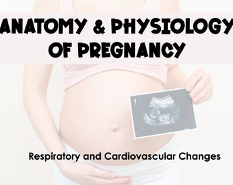 Anatomy and Physiology of Pregnancy - Respiratory and Cardiovascular Changes Study Guide *Maternity OB Nursing Students*