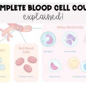 May include: An illustration of different types of blood cells, including red blood cells, white blood cells, and platelets. The illustration shows the different shapes and sizes of each type of cell. The text "COMPLETE BLOOD CELL COUNT explained!" is at the top of the image.