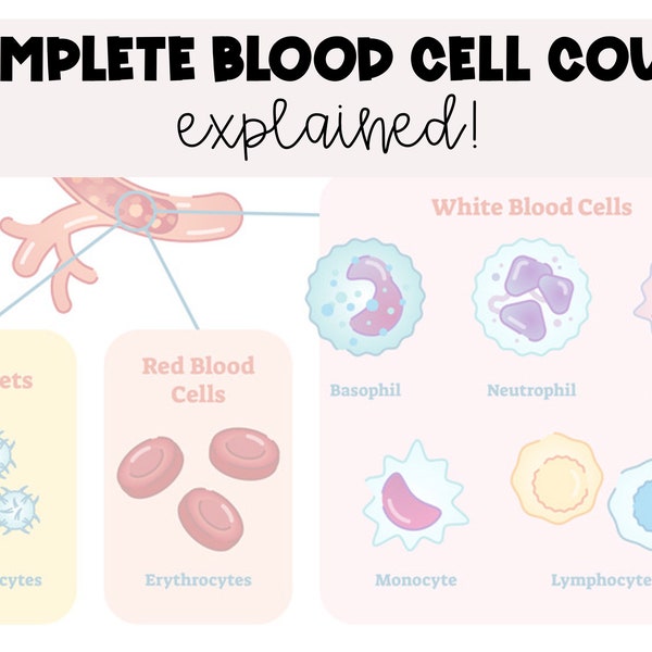 Complete Blood Cell (CBC) Count with Differential Explanation Study Guide *Nursing Students*