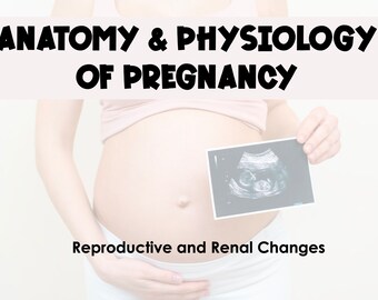 Anatomía y fisiología del embarazo: guía de estudio sobre cambios renales y reproductivos con archivos de sonido *Estudiantes de enfermería de obstetricia y maternidad*