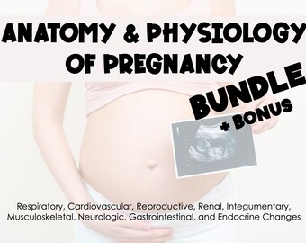 PAQUETE de Anatomía y Fisiología del Embarazo Guías de Estudio + BONUS *Estudiantes de Enfermería de Maternidad*