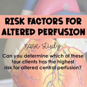 May include: A close-up of a red, yellow, and white anatomical heart model with red and white blood vessels. The text "RISK FACTORS FOR ALTERED PERFUSION case study Can you determine which of these four clients has the highest risk for altered central perfusion?" is written on a pink background.