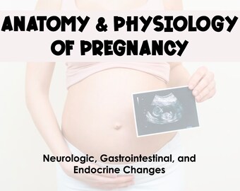 Anatomía y fisiología del embarazo: guía de estudio de cambios neurológicos, gastrointestinales y endocrinos *Estudiantes de enfermería de maternidad*