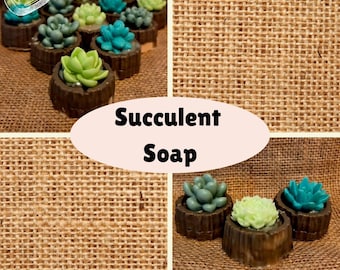 Jabón con forma de suculenta (3 unidades)