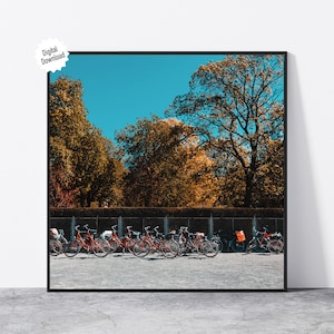 Digital File Bike Row in front of Walled Garden with Autumn Trees, a Postcard Quality Street Photograph at Berlin, Germany City Life