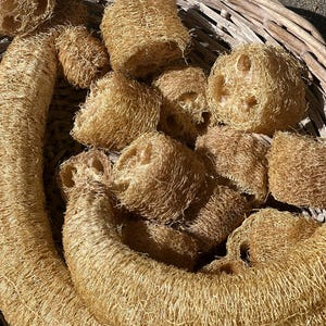 luffa seeds