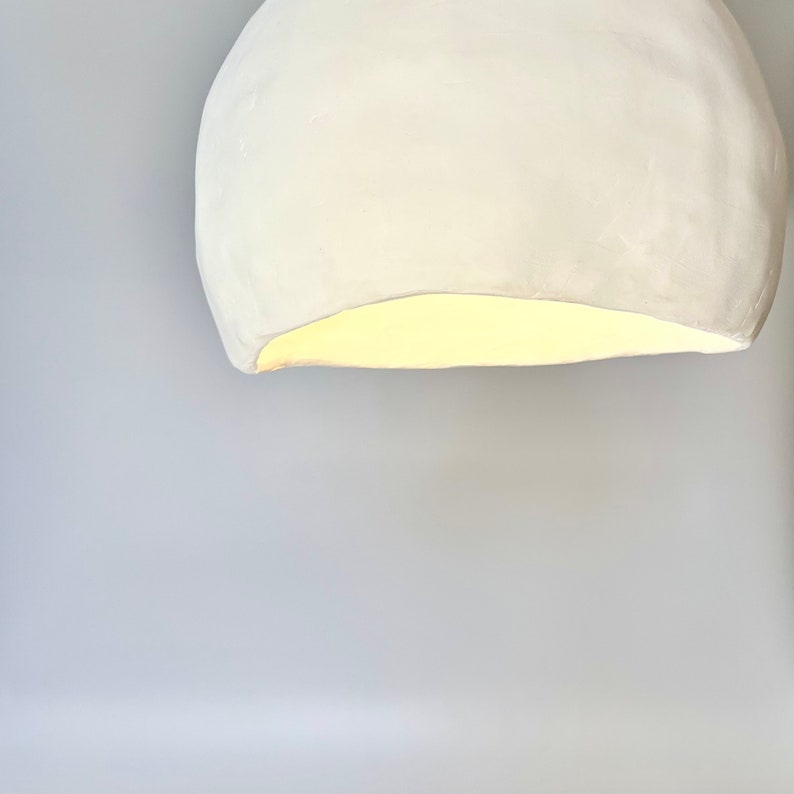 Handcrafted Biomorphic Pendant Light | 12-22