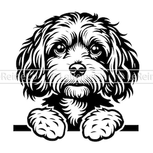 Cavapoo Peeking Dog Svg Png Eps Dxf, Clipart Vector, Doodle Breed, Cavapoo Svg Cricut Cut File, Sublimación, Silueta, Amante de los perros