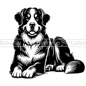 Berner Sennenhund Vektor, Berner Berg Clipart, Berner Berg Png, Cricut, Hund Silhouette, Laser Gravur, SVG Png Eps Dxf