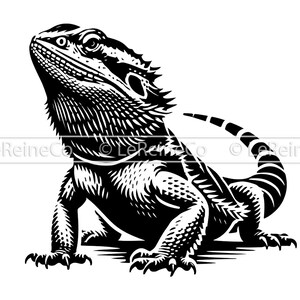 May include: Black and white illustration of a bearded dragon lizard with a spiky back and a long tail.