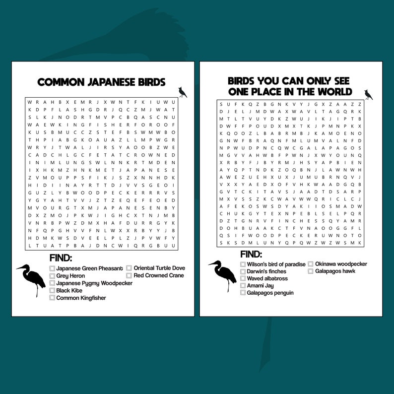 Bird Word Search and Puzzle & Coloring Books Digital | Etsy