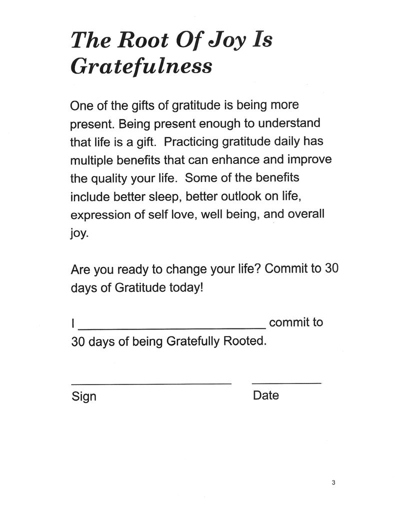 Gratefully Rooted, Daily Gratitude Journal, journal, writing, gratiude, release, image 4
