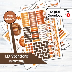 Op de afbeelding: Een verzameling plannerstickers met een herfstthema. De stickers bevatten pompoenen, koffiekopjes en bladeren in tinten oranje, bruin en wit. Tekst: "Any Month", "LD Standard Monthly" en "Digital Download".