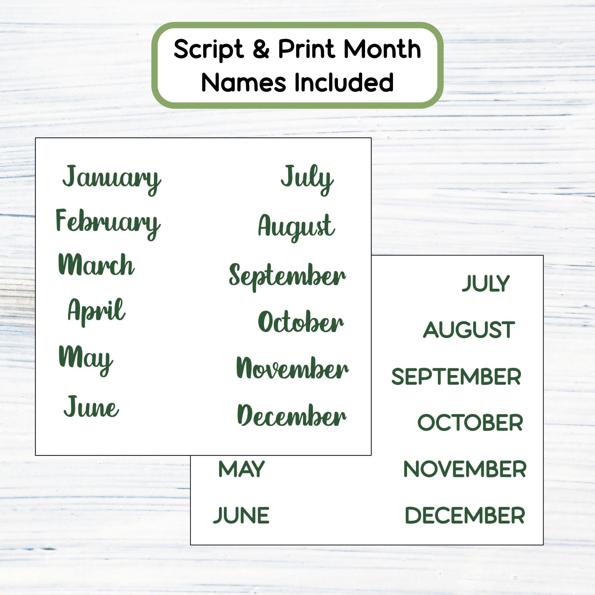 HP Mini Monthly - Poinsettias Printable Monthly Sticker Kit for Happy ...