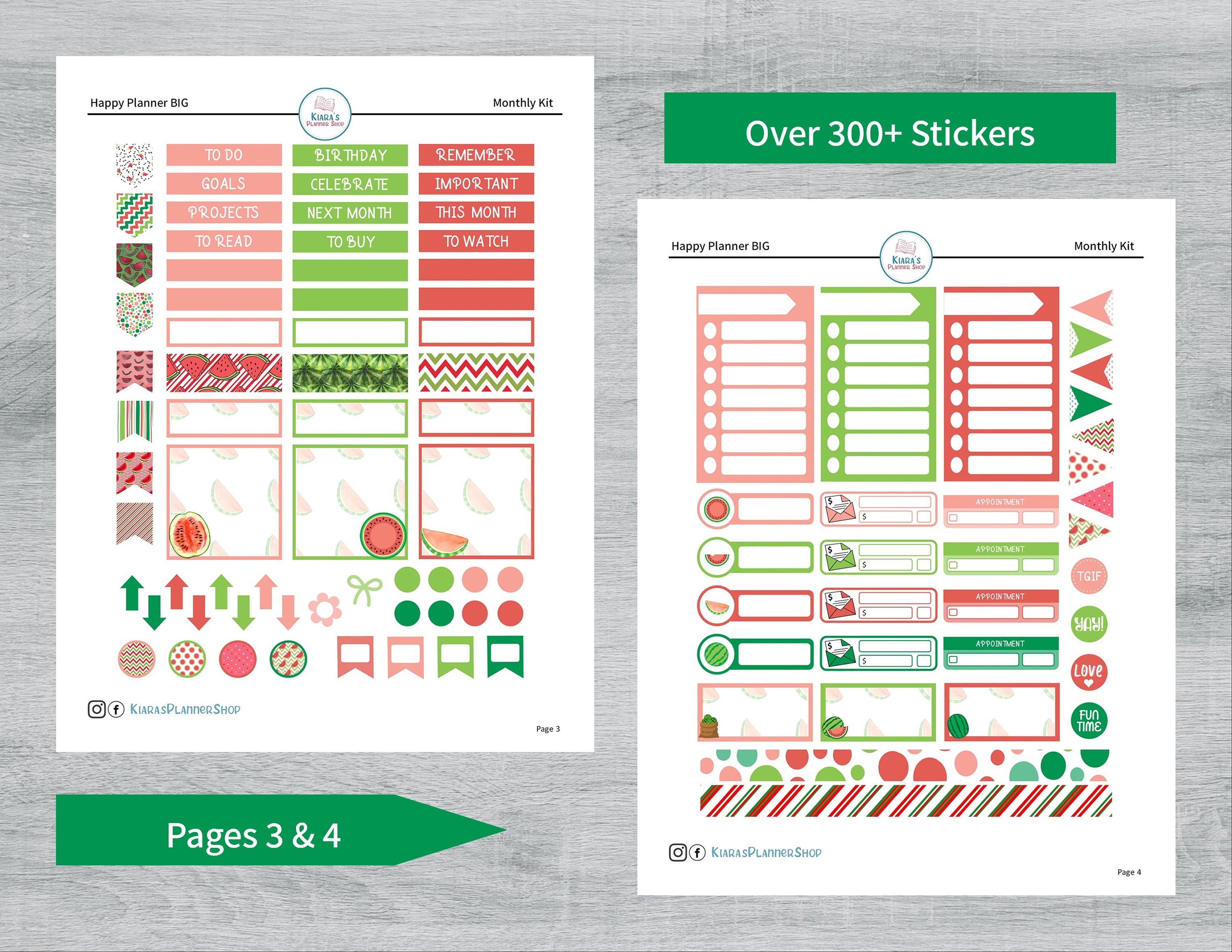 Watermelons Printable Monthly Sticker Kit for Happy Planner BIG WMHPBM ...