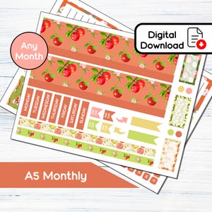 A5 Monthly - Kit de adesivos mensais para impressão de maçãs para A5Planners Erin Condren - Kit de download instantâneo 104