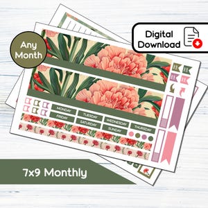 7x9 Mensal - Kit de adesivos mensais para impressão de cravos de janeiro para planejadores 7x9 Erin Condren - Kit de download instantâneo BF1