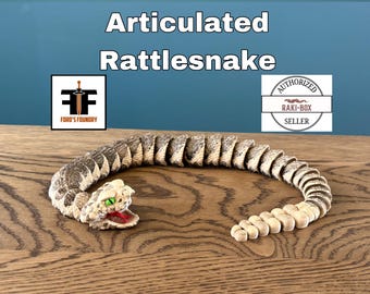 Rattlesnake Articulated Model - Raki Box Design - Reptile