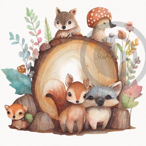 Watercolor woodland animals sublimation, cute baby woodland animal nursery, woodland animals PNG