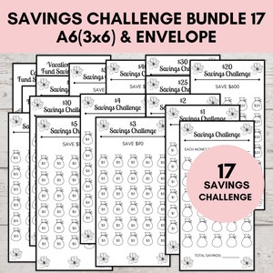 A6 Savings Challenge Printable, Savings Challenge Bundle, A6 Sized Mini Savings Challenge Trackers, Printable Savings Challenge, Set Of 17