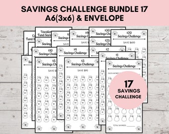 A6 Savings Challenge Printable, Savings Challenge Bundle, A6 Sized Mini Savings Challenge Trackers, Printable Savings Challenge, Set Of 17