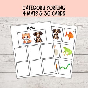 Category Sorting 1, Speech Therapy, Sorting Objects Into Categories, Autism Visuals, Montessori Matching Activity